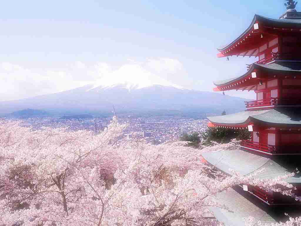 [青岛出发]青岛去日本温泉美食浪漫之旅六日（东阪）